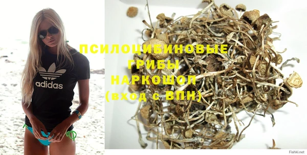 прущая мука Михайлов