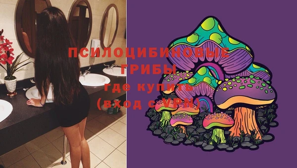 кокс Михайловск