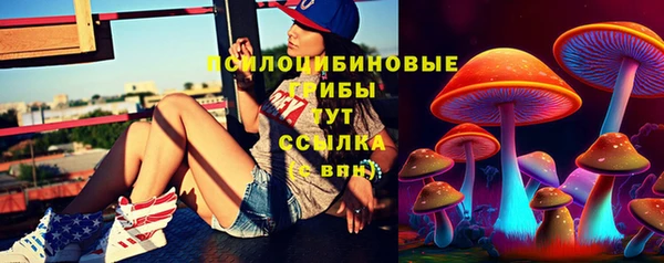 прущие грибы Мегион